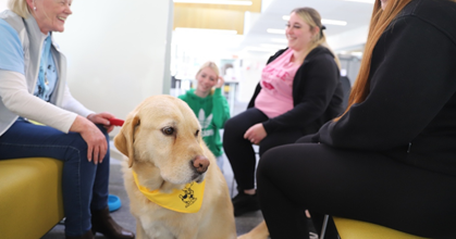 Tesco voting now open to support ‘Paws Against Stress’ at Alloa Campus